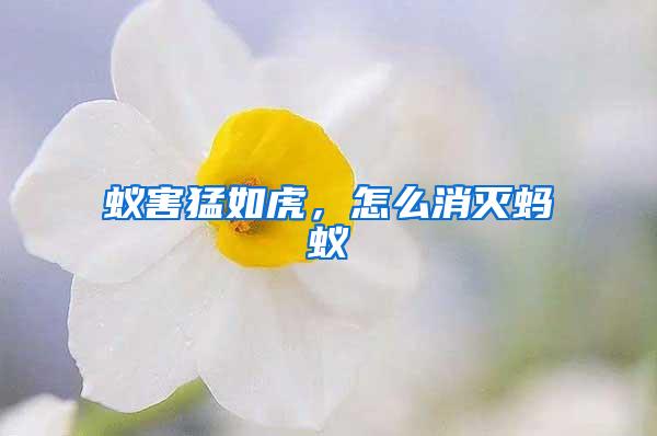 蟻害猛如虎，怎么消滅螞蟻