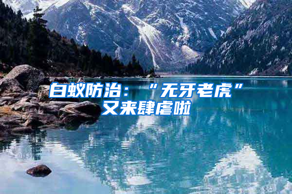 白蟻防治:“無牙老虎”又來肆虐啦