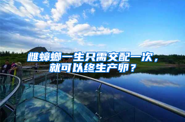 雌蟑螂一生只需交配一次，就可以終生產(chǎn)卵？