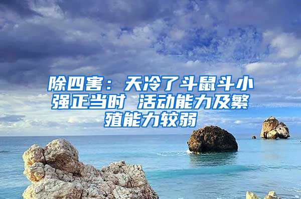 除四害:天冷了斗鼠斗小強(qiáng)正當(dāng)時(shí) 活動(dòng)能力及繁殖能力較弱