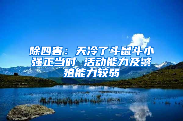 除四害：天冷了斗鼠斗小強(qiáng)正當(dāng)時(shí) 活動(dòng)能力及繁殖能力較弱