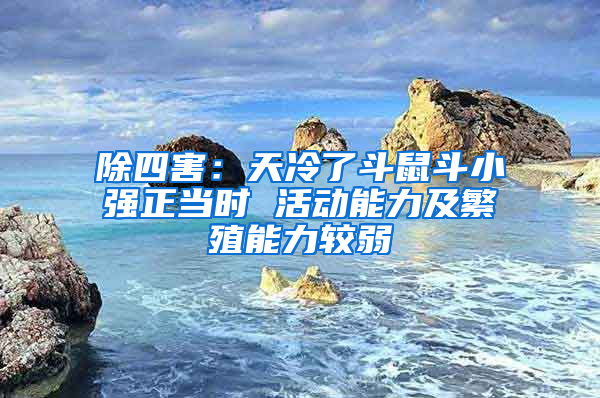 除四害：天冷了斗鼠斗小強(qiáng)正當(dāng)時(shí) 活動(dòng)能力及繁殖能力較弱