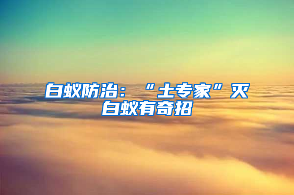 白蟻防治：“土專(zhuān)家”滅白蟻有奇招