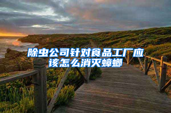 除蟲公司針對食品工廠應(yīng)該怎么消滅蟑螂