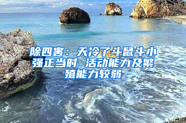 除四害：天冷了斗鼠斗小強(qiáng)正當(dāng)時(shí) 活動(dòng)能力及繁殖能力較弱