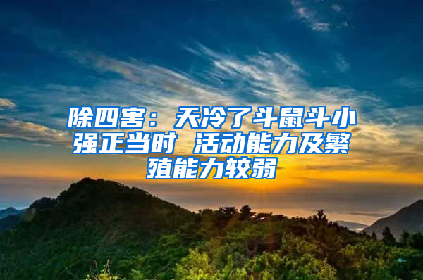 除四害:天冷了斗鼠斗小強(qiáng)正當(dāng)時(shí) 活動能力及繁殖能力較弱