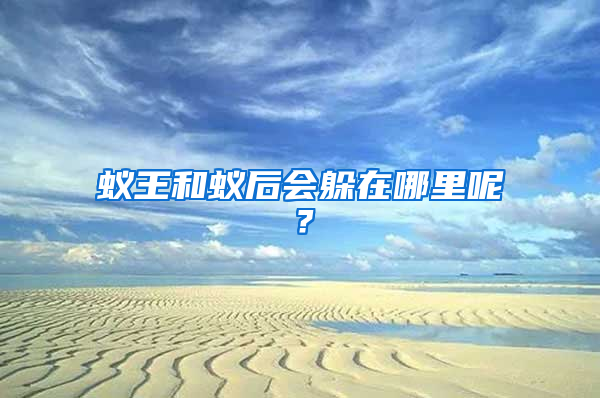 蟻王和蟻后會(huì)躲在哪里呢？