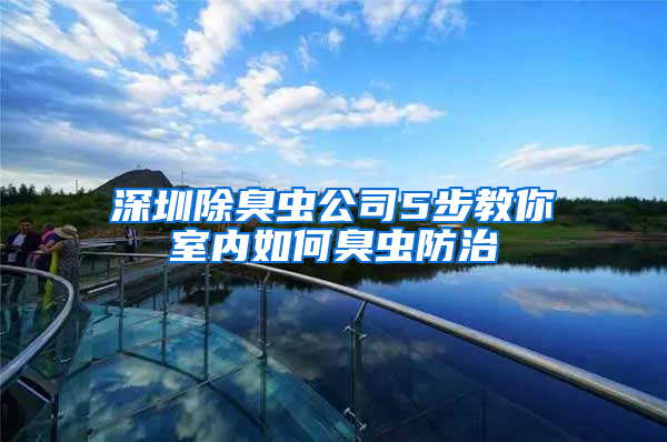 深圳除臭蟲公司5步教你室內(nèi)如何臭蟲防治