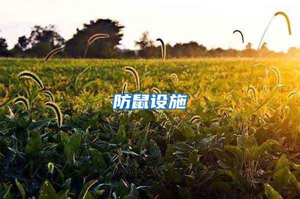 防鼠設(shè)施
