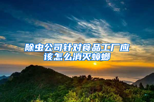 除蟲公司針對食品工廠應(yīng)該怎么消滅蟑螂