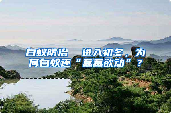 白蟻防治  進(jìn)入初冬，為何白蟻還“蠢蠢欲動(dòng)”？