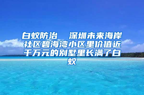 白蟻防治  深圳未來海岸社區(qū)碧海灣小區(qū)里價值近千萬元的別墅里長滿了白蟻