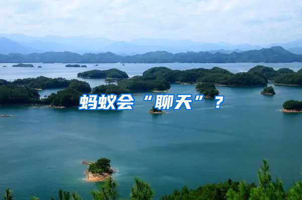 螞蟻會(huì)“聊天”？