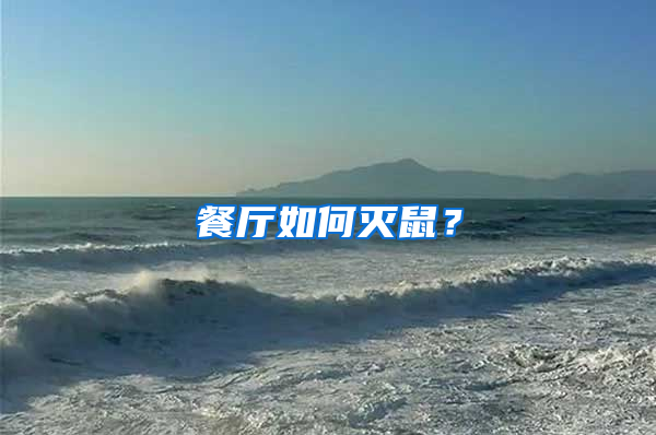 餐廳如何滅鼠？