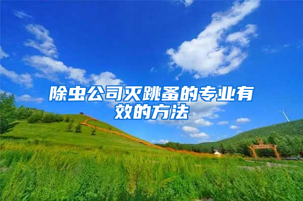 除蟲公司滅跳蚤的專業(yè)有效的方法