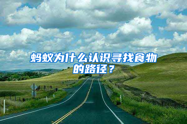 螞蟻為什么認(rèn)識尋找食物的路徑？