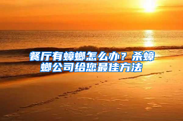 餐廳有蟑螂怎么辦？殺蟑螂公司給您最佳方法