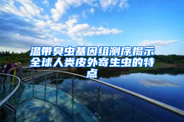 溫帶臭蟲(chóng)基因組測(cè)序揭示全球人類皮外寄生蟲(chóng)的特點(diǎn)