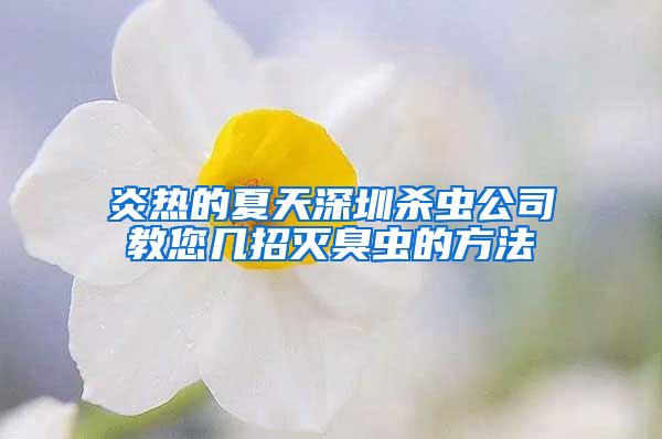 炎熱的夏天深圳殺蟲(chóng)公司教您幾招滅臭蟲(chóng)的方法