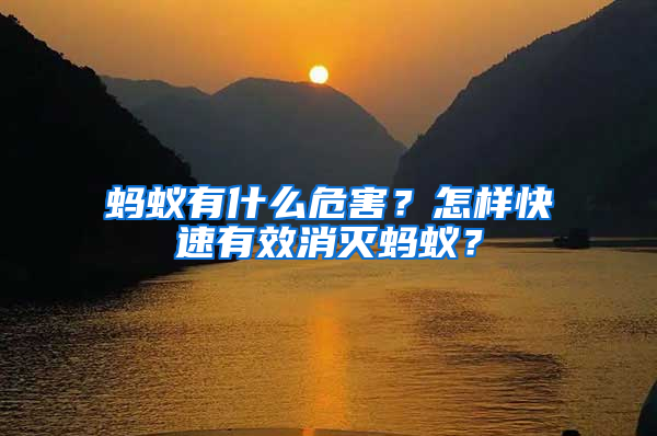 螞蟻有什么危害？怎樣快速有效消滅螞蟻？