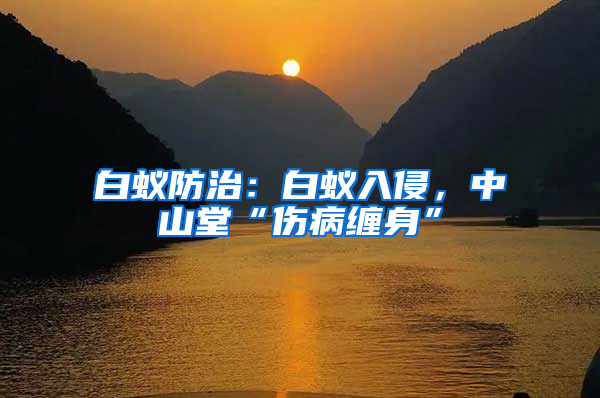 白蟻防治：白蟻入侵，中山堂“傷病纏身”