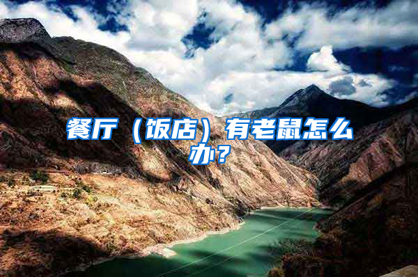 餐廳（飯店）有老鼠怎么辦？