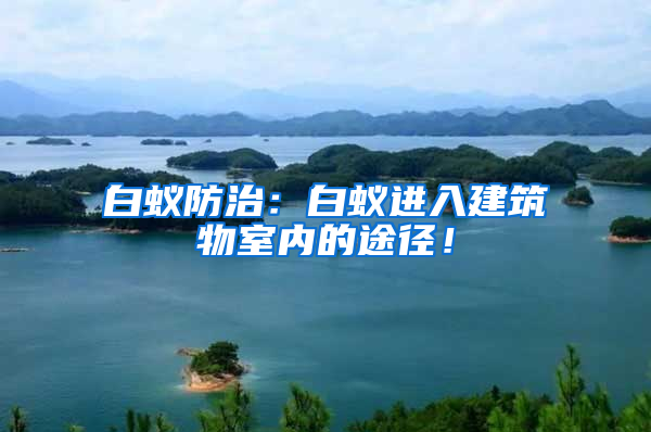 白蟻防治：白蟻進入建筑物室內(nèi)的途徑！