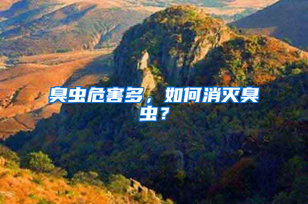 臭蟲危害多，如何消滅臭蟲？