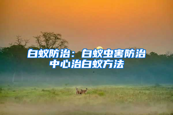 白蟻防治：白蟻蟲害防治中心治白蟻方法