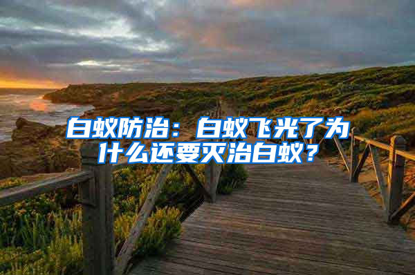 白蟻防治：白蟻飛光了為什么還要滅治白蟻？