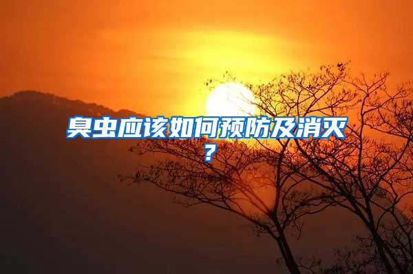 臭蟲應(yīng)該如何預(yù)防及消滅？