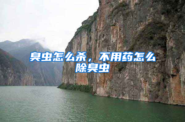 臭蟲怎么殺，不用藥怎么除臭蟲