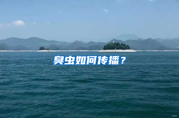 臭蟲(chóng)如何傳播？