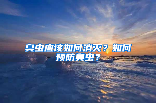 臭蟲應該如何消滅？如何預防臭蟲？