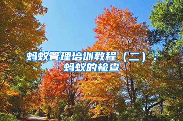 螞蟻管理培訓(xùn)教程（二）：螞蟻的檢查