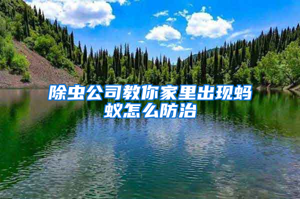 除蟲公司教你家里出現(xiàn)螞蟻怎么防治