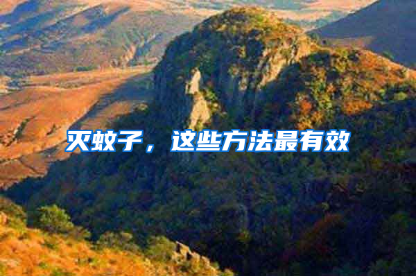 滅蚊子，這些方法最有效