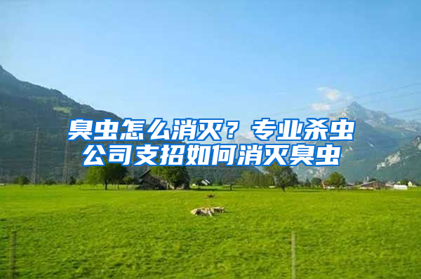 臭蟲怎么消滅？專業(yè)殺蟲公司支招如何消滅臭蟲