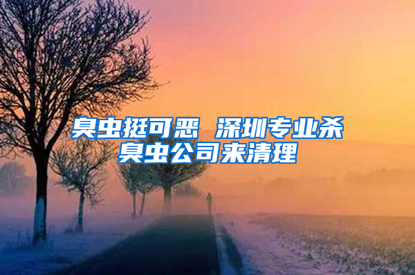 臭蟲挺可惡 深圳專業(yè)殺臭蟲公司來清理