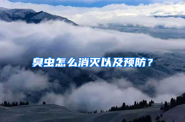 臭蟲怎么消滅以及預(yù)防？