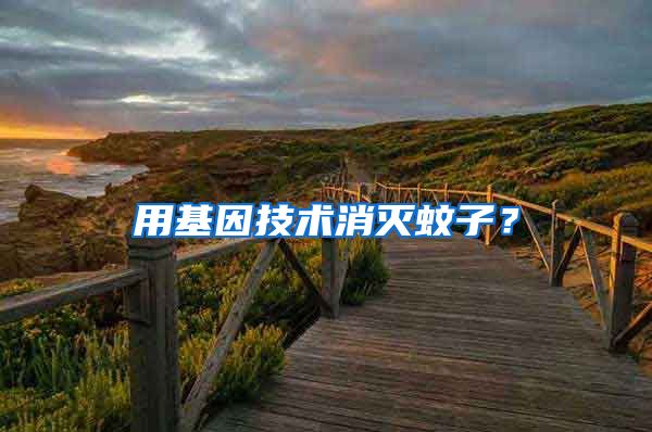 用基因技術(shù)消滅蚊子？