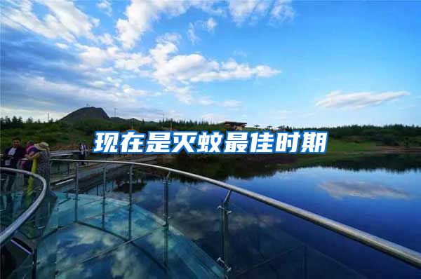 現(xiàn)在是滅蚊最佳時期