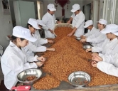 四害消殺：食品、加工行業(yè)