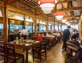 四害消殺：餐飲、酒店行業(yè)