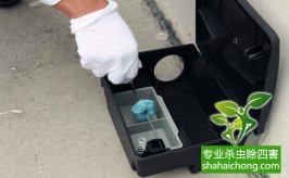 滅鼠公司跟大家來(lái)聊聊滅鼠最好的辦法