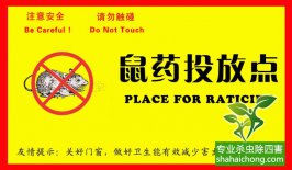 老鼠入室如何消滅？滅鼠公司專(zhuān)業(yè)分析